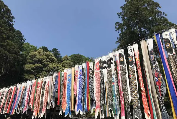 日牟禮八幡宮の写真・動画_image_321672