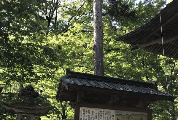 榛名神社の写真・動画_image_321706