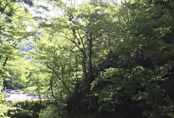 榛名神社の写真・動画_image_321712