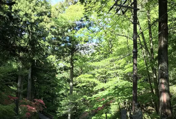榛名神社の写真・動画_image_321717