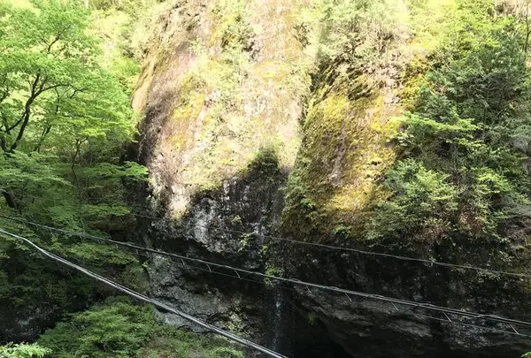 榛名神社の写真・動画_image_321719