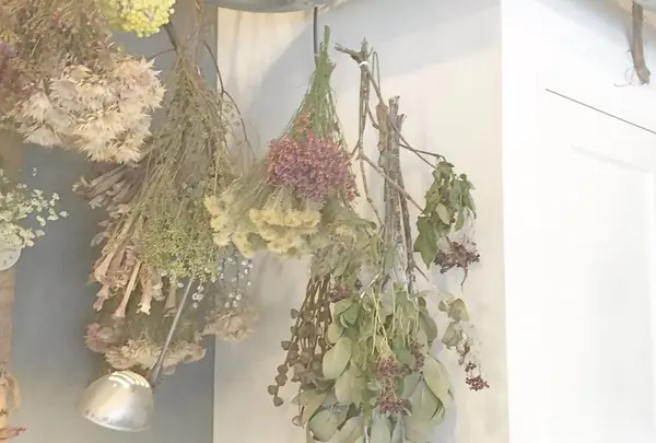 cotito ハナトオカシトの写真・動画_image_321815