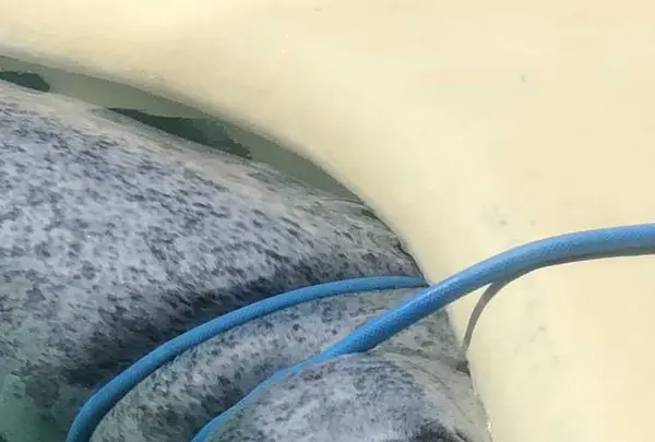 魚津水族博物館の写真・動画_image_321920