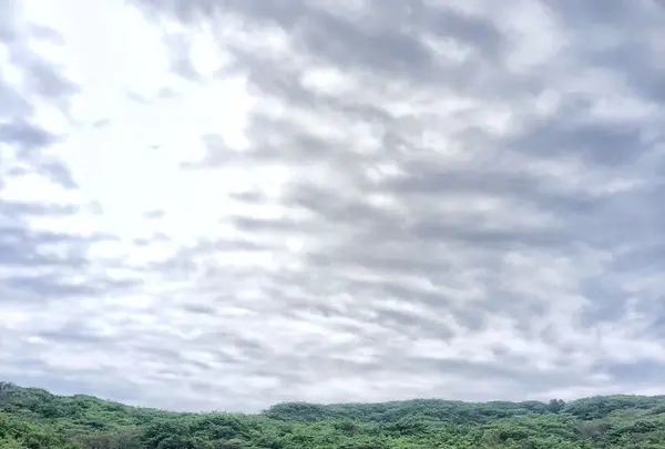 波浮港の写真・動画_image_321934