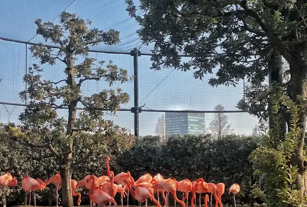 上野動物園の写真・動画_image_321944