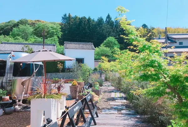 ドロフィーズカフェ （DLoFre's Cafe）の写真・動画_image_322049