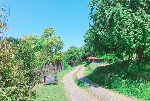 ドロフィーズカフェ （DLoFre's Cafe）の写真・動画_image_322050