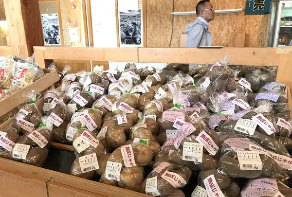 とよころ物産直売所の写真・動画_image_322159