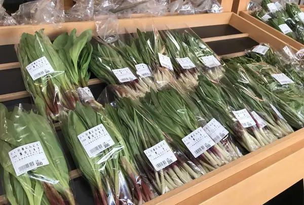 とよころ物産直売所の写真・動画_image_322161