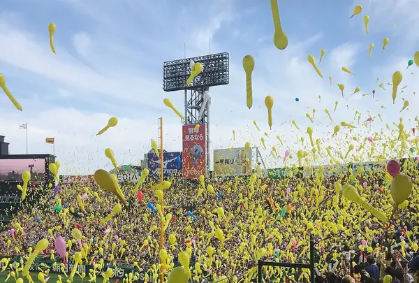 阪神甲子園球場の写真・動画_image_322309