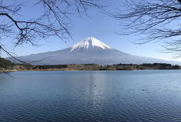 田貫湖の写真・動画_image_322314