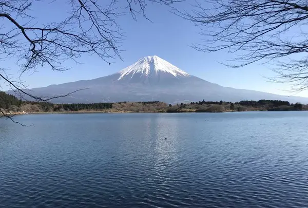 田貫湖の写真・動画_image_322315
