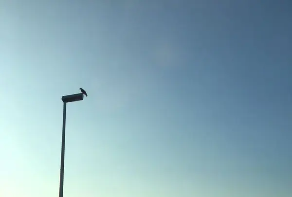 角島大橋 (つのしまおおはし)の写真・動画_image_322321