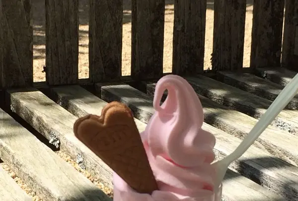 河津バガテル公園の写真・動画_image_322404