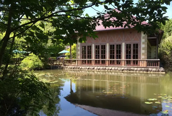 河津バガテル公園の写真・動画_image_322405