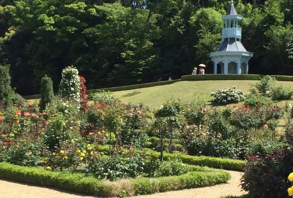 河津バガテル公園の写真・動画_image_322414