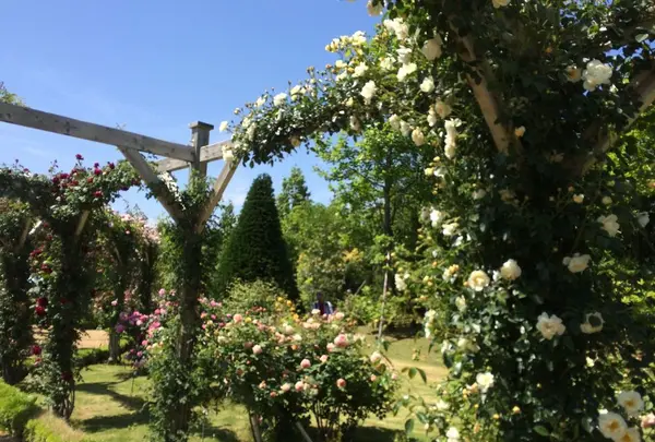 河津バガテル公園の写真・動画_image_322415