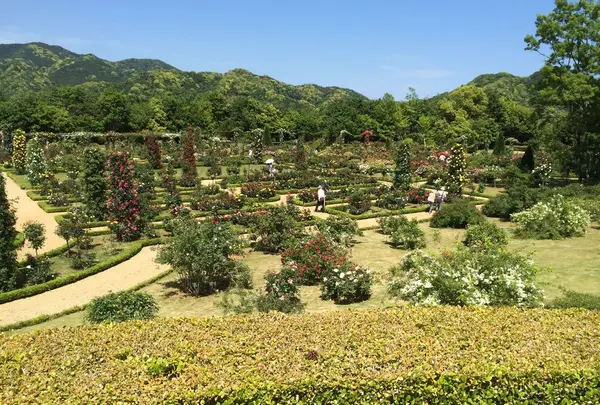 河津バガテル公園の写真・動画_image_322416