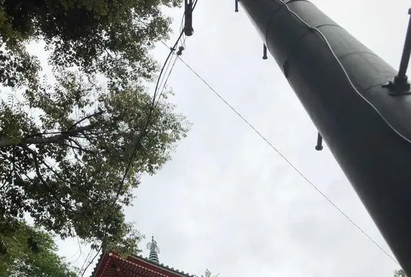 岐阜城の写真・動画_image_322447