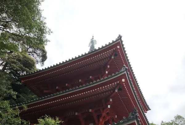 岐阜城の写真・動画_image_322450