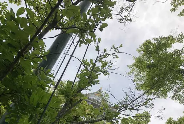 岐阜城の写真・動画_image_322455