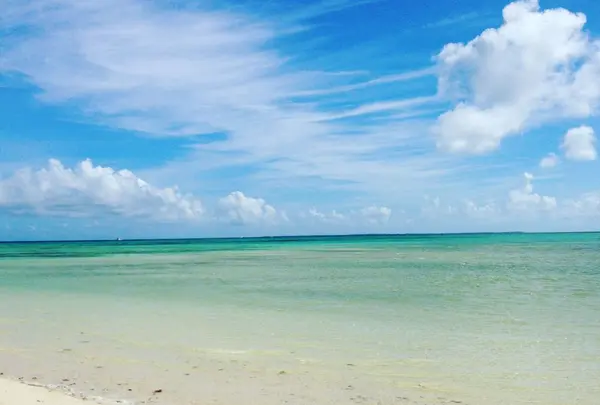 コンドイビーチの写真・動画_image_322459