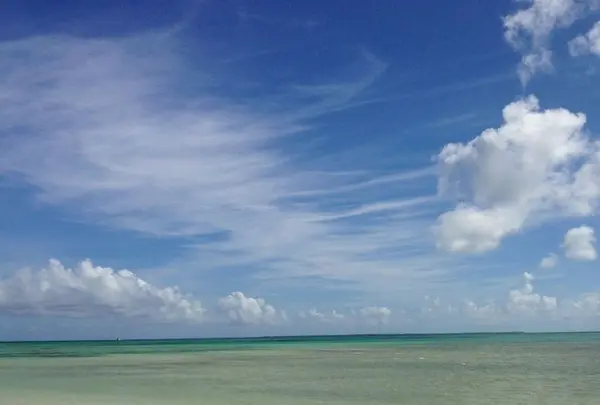 コンドイビーチの写真・動画_image_322460