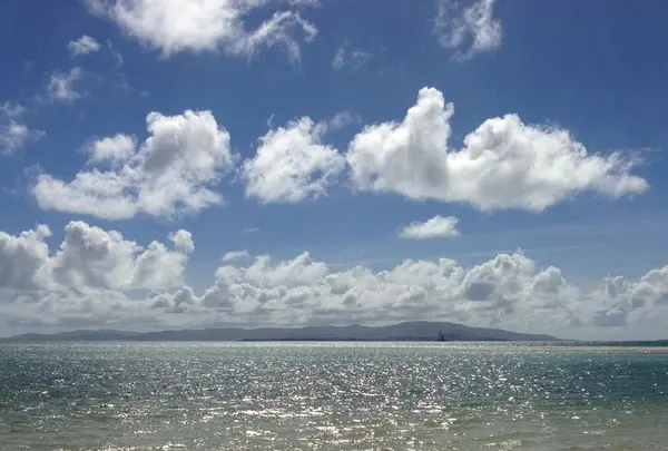 コンドイビーチの写真・動画_image_322461