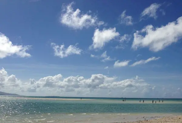 コンドイビーチの写真・動画_image_322462