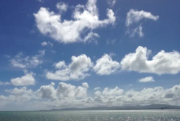 コンドイビーチの写真・動画_image_322463