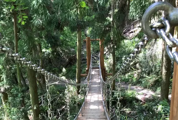 五月山公園の写真・動画_image_322480