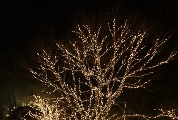 NESTA RESORT KOBE ホテル ザ・パヴォーネの写真・動画_image_322496