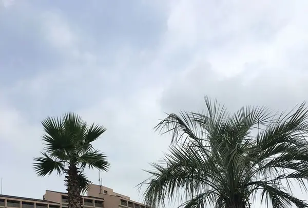 NESTA RESORT KOBE ホテル ザ・パヴォーネの写真・動画_image_322497