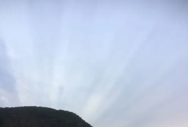おかげ横丁 横丁焼の店の写真・動画_image_322583
