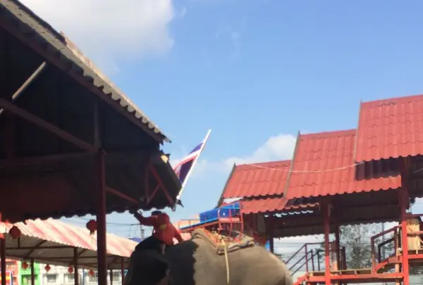 パッタヤーの写真・動画_image_322647