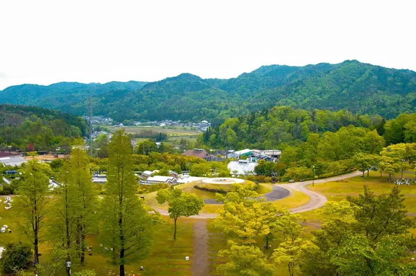 （財）滋賀県陶芸の森の写真・動画_image_322978