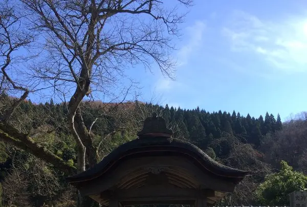 一乗谷朝倉氏遺跡の写真・動画_image_323204