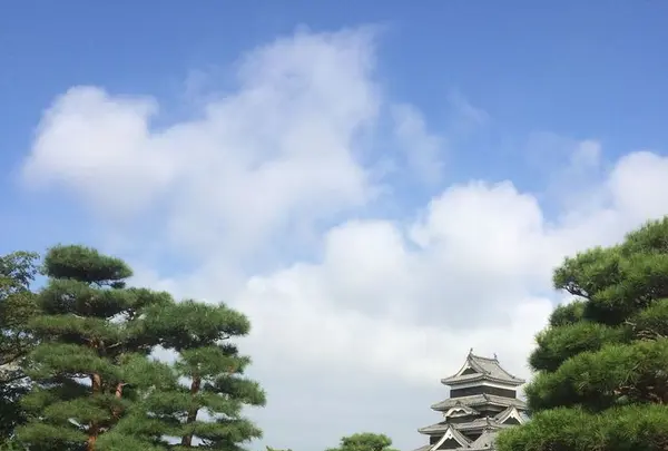 松本市立博物館の写真・動画_image_323235