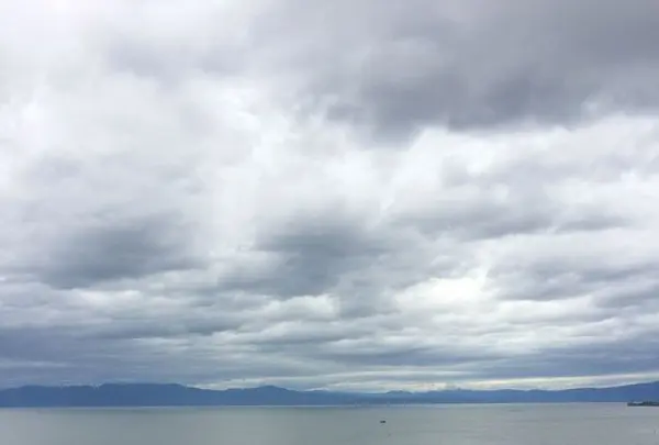 長浜城歴史博物館の写真・動画_image_323238