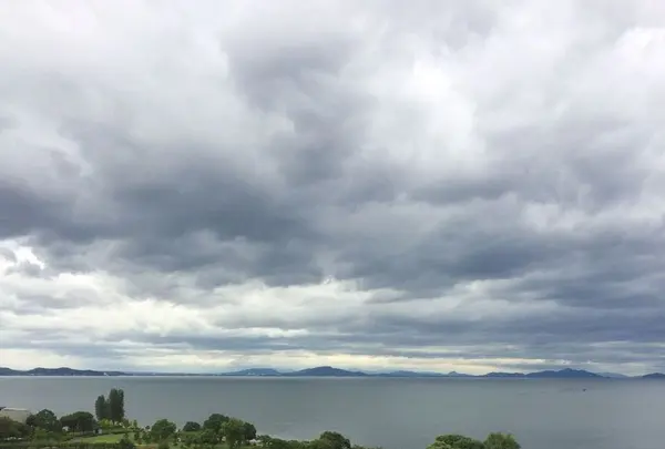 長浜城歴史博物館の写真・動画_image_323239