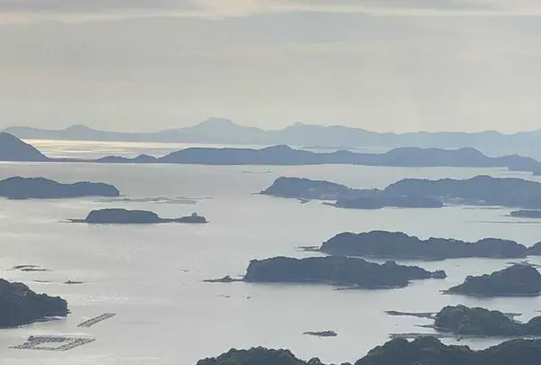 石岳展望台の写真・動画_image_323294