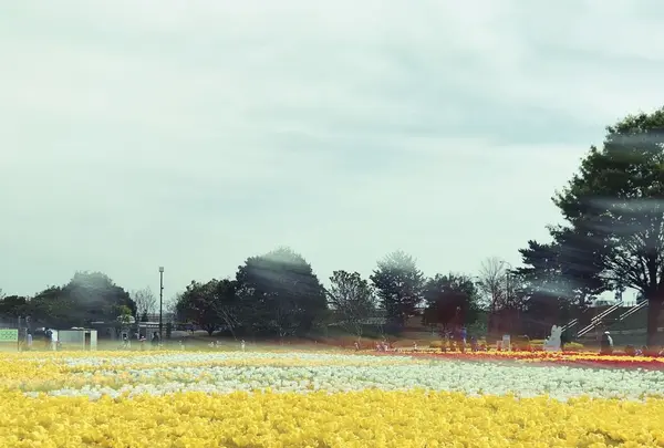 木曽三川公園の写真・動画_image_323334