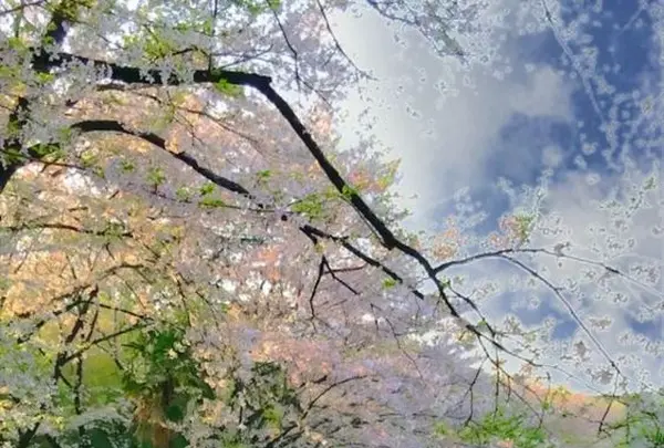 長成池の写真・動画_image_323530