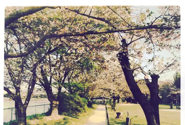 長成池の写真・動画_image_323534