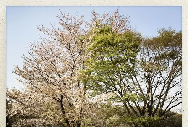 長成池の写真・動画_image_323535