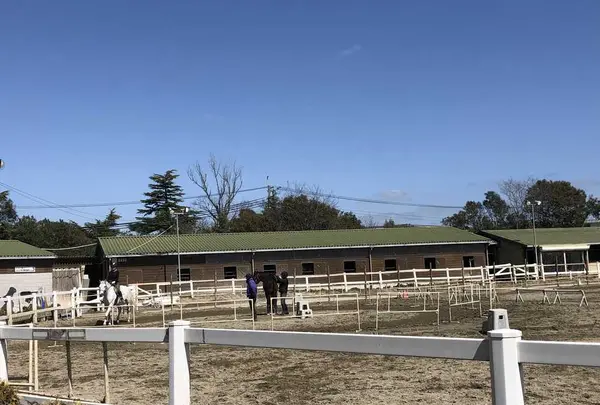 明石乗馬協会の写真・動画_image_323545