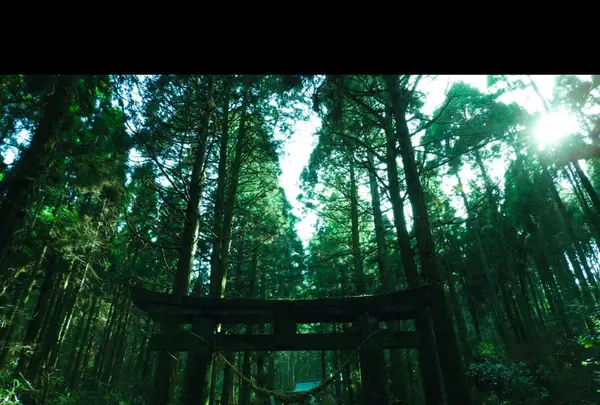 上色見熊野座神社の写真・動画_image_323656