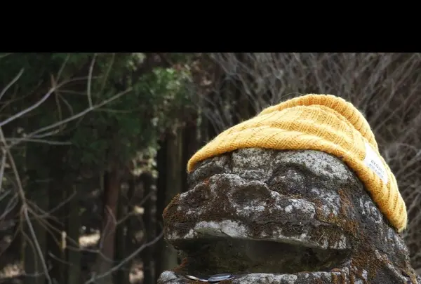 上色見熊野座神社の写真・動画_image_323657