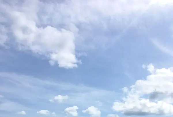 鴨川シーワールドの写真・動画_image_323674