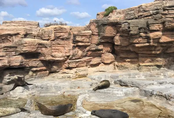 鴨川シーワールドの写真・動画_image_323675